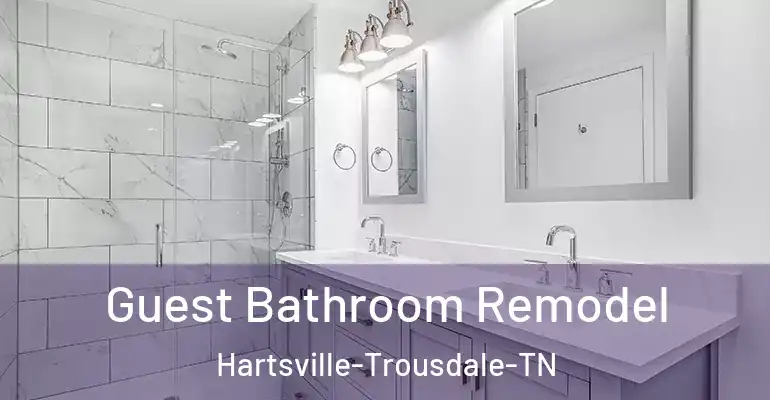 inner Bathroom imggen Guest Bathroom Remodel Hartsville-Trousdale-TN