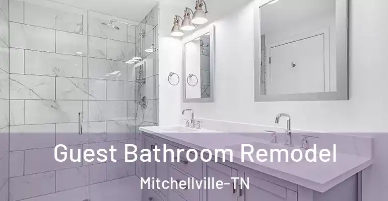 inner Bathroom imggen Guest Bathroom Remodel Mitchellville-TN