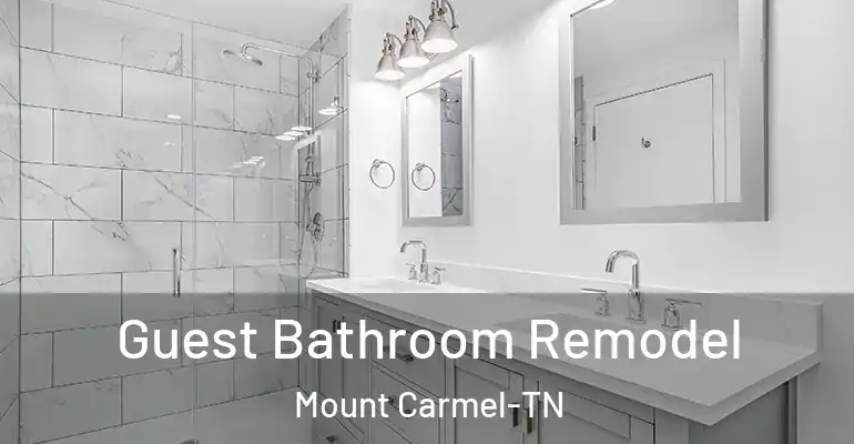 inner Bathroom imggen Guest Bathroom Remodel Mount Carmel-TN