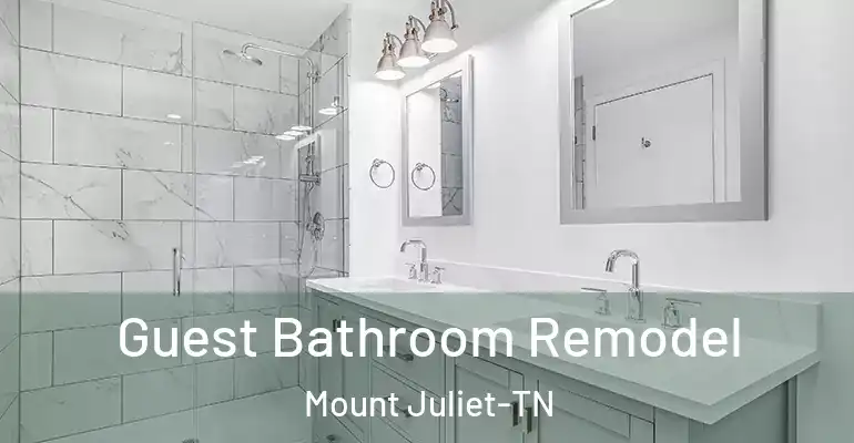 inner Bathroom imggen Guest Bathroom Remodel Mount Juliet-TN
