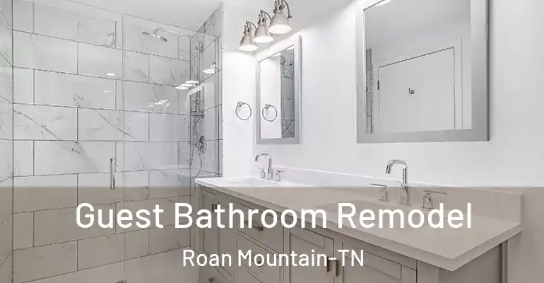 inner Bathroom imggen Guest Bathroom Remodel Roan Mountain-TN
