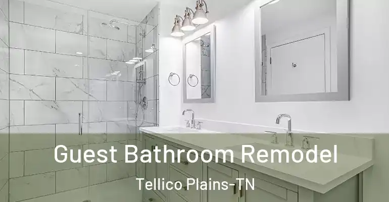 inner Bathroom imggen Guest Bathroom Remodel Tellico Plains-TN