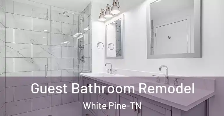 inner Bathroom imggen Guest Bathroom Remodel White Pine-TN