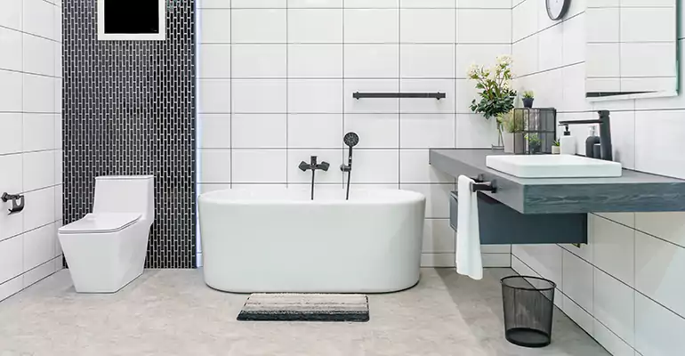 Bathroom Leak Repair in Loudon