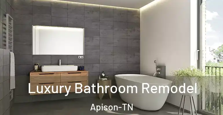 inner Bathroom imggen Luxury Bathroom Remodel Apison-TN