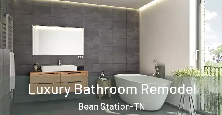 inner Bathroom imggen Luxury Bathroom Remodel Bean Station-TN