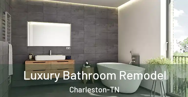 inner Bathroom imggen Luxury Bathroom Remodel Charleston-TN