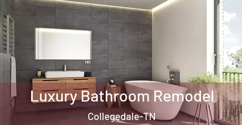 inner Bathroom imggen Luxury Bathroom Remodel Collegedale-TN