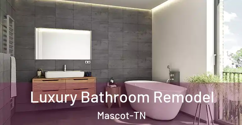 inner Bathroom imggen Luxury Bathroom Remodel Mascot-TN