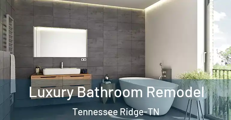 inner Bathroom imggen Luxury Bathroom Remodel Tennessee Ridge-TN