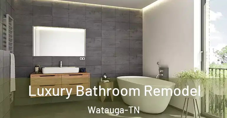 inner Bathroom imggen Luxury Bathroom Remodel Watauga-TN