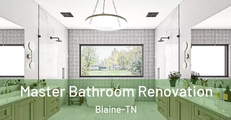 inner Bathroom imggen Master Bathroom Renovation Blaine-TN