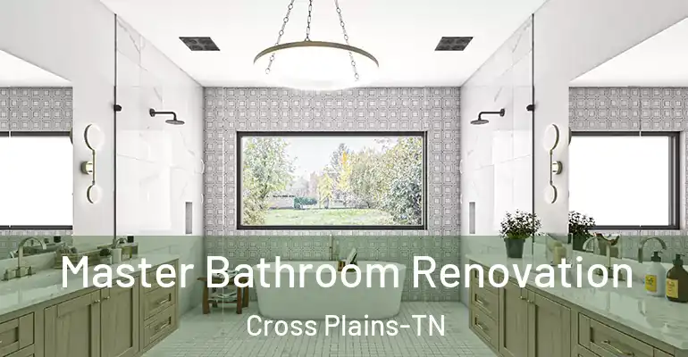 inner Bathroom imggen Master Bathroom Renovation Cross Plains-TN