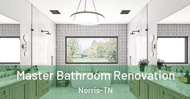 inner Bathroom imggen Master Bathroom Renovation Norris-TN