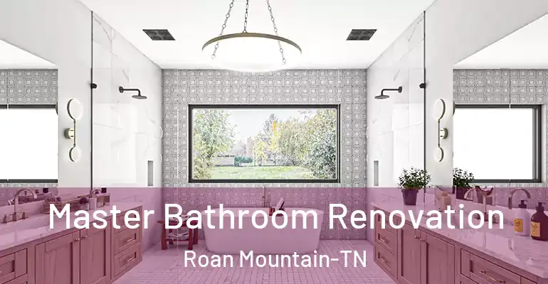 inner Bathroom imggen Master Bathroom Renovation Roan Mountain-TN