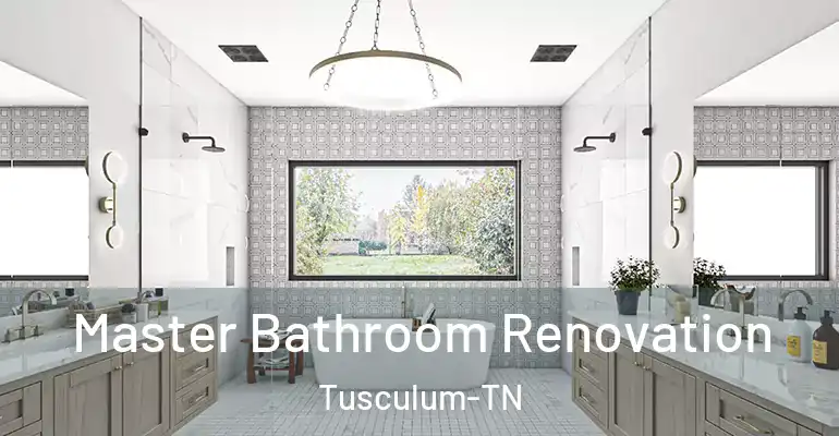 inner Bathroom imggen Master Bathroom Renovation Tusculum-TN