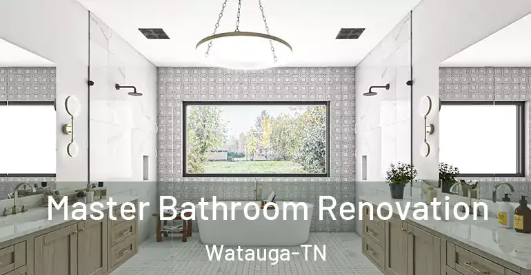inner Bathroom imggen Master Bathroom Renovation Watauga-TN