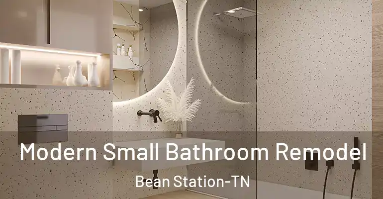 inner Bathroom imggen Modern Small Bathroom Remodel Bean Station-TN