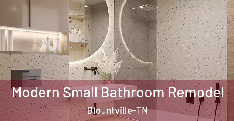 inner Bathroom imggen Modern Small Bathroom Remodel Blountville-TN