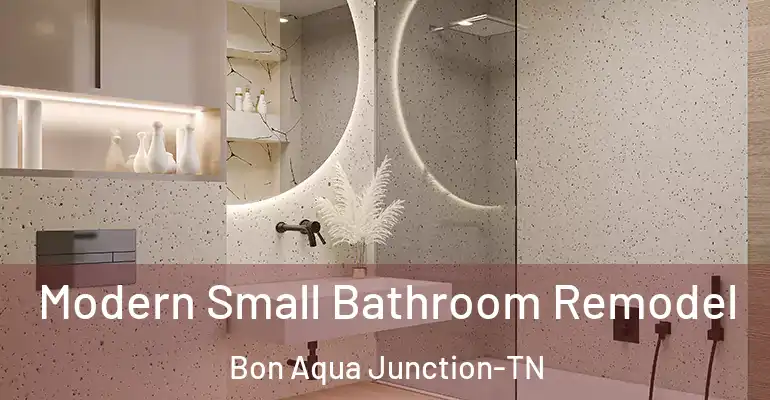inner Bathroom imggen Modern Small Bathroom Remodel Bon Aqua Junction-TN
