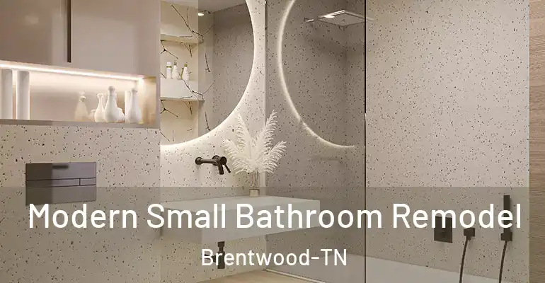 inner Bathroom imggen Modern Small Bathroom Remodel Brentwood-TN