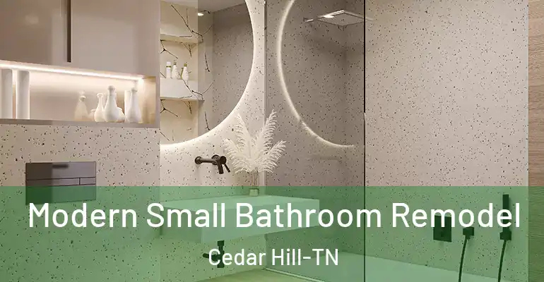 inner Bathroom imggen Modern Small Bathroom Remodel Cedar Hill-TN