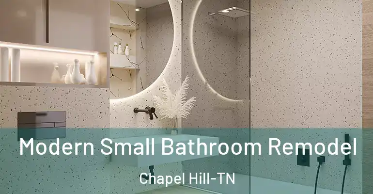 inner Bathroom imggen Modern Small Bathroom Remodel Chapel Hill-TN