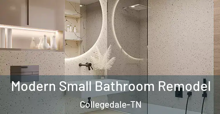 inner Bathroom imggen Modern Small Bathroom Remodel Collegedale-TN