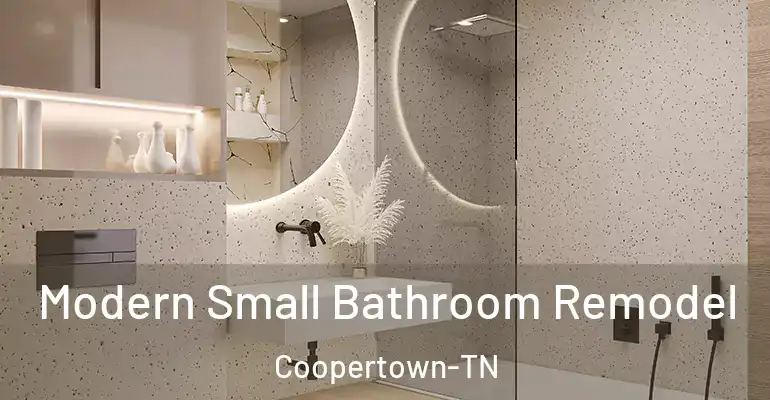 inner Bathroom imggen Modern Small Bathroom Remodel Coopertown-TN