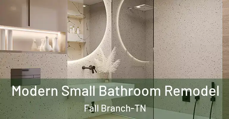 inner Bathroom imggen Modern Small Bathroom Remodel Fall Branch-TN