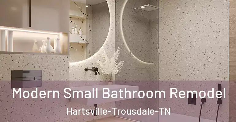 inner Bathroom imggen Modern Small Bathroom Remodel Hartsville-Trousdale-TN