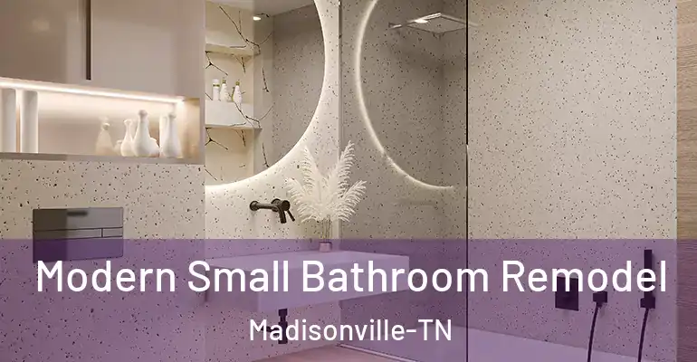 inner Bathroom imggen Modern Small Bathroom Remodel Madisonville-TN