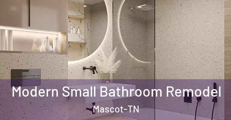 inner Bathroom imggen Modern Small Bathroom Remodel Mascot-TN