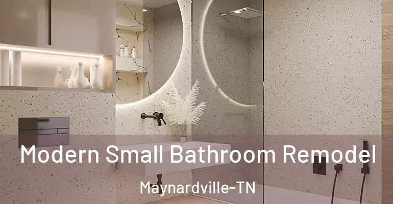 inner Bathroom imggen Modern Small Bathroom Remodel Maynardville-TN