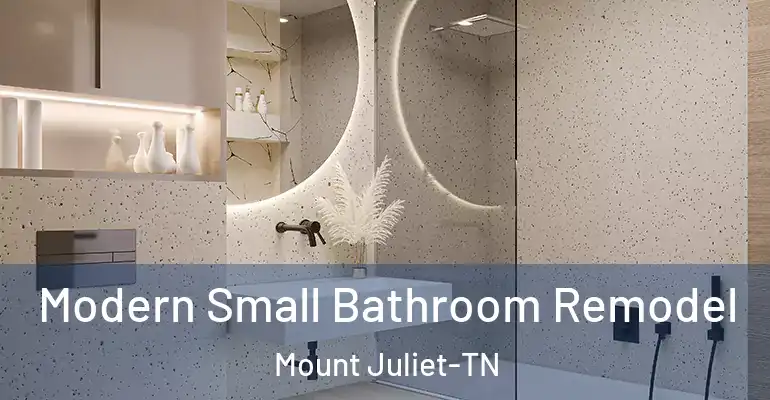 inner Bathroom imggen Modern Small Bathroom Remodel Mount Juliet-TN