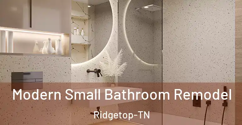 inner Bathroom imggen Modern Small Bathroom Remodel Ridgetop-TN