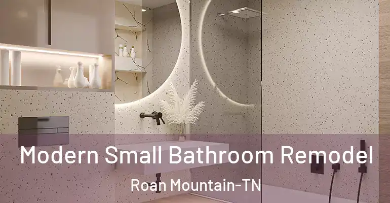 inner Bathroom imggen Modern Small Bathroom Remodel Roan Mountain-TN