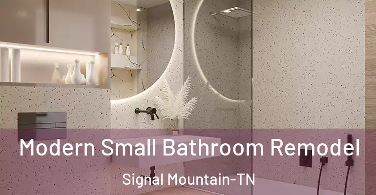 inner Bathroom imggen Modern Small Bathroom Remodel Signal Mountain-TN