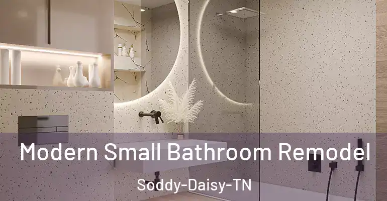 inner Bathroom imggen Modern Small Bathroom Remodel Soddy-Daisy-TN