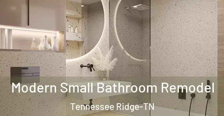 inner Bathroom imggen Modern Small Bathroom Remodel Tennessee Ridge-TN