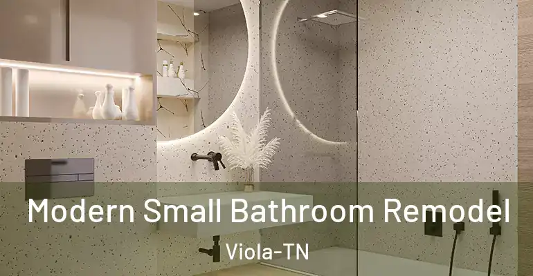 inner Bathroom imggen Modern Small Bathroom Remodel Viola-TN