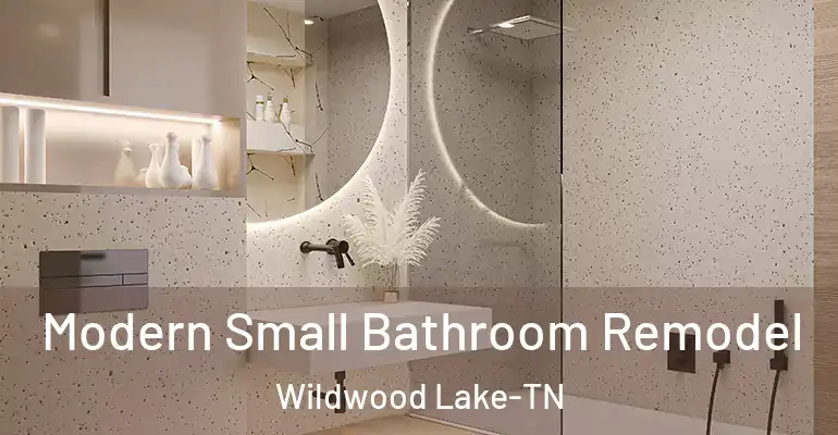 inner Bathroom imggen Modern Small Bathroom Remodel Wildwood Lake-TN