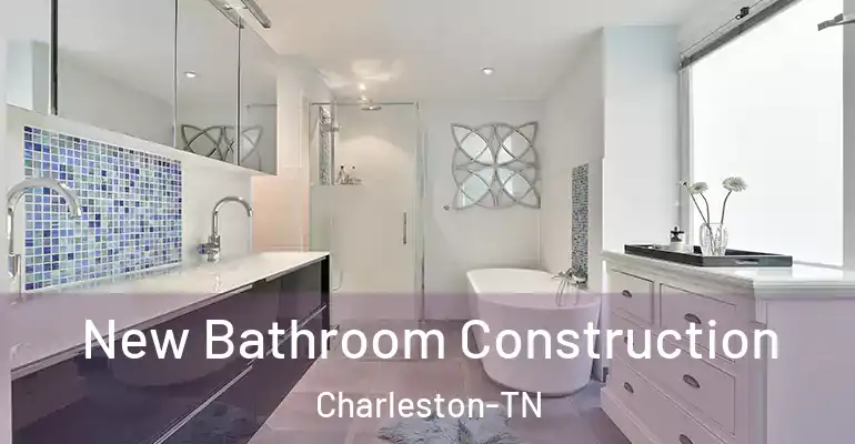 inner Bathroom imggen New Bathroom Construction Charleston-TN