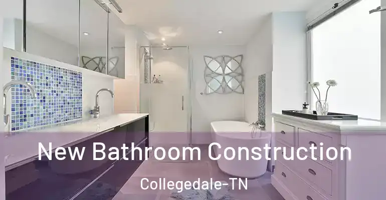 inner Bathroom imggen New Bathroom Construction Collegedale-TN