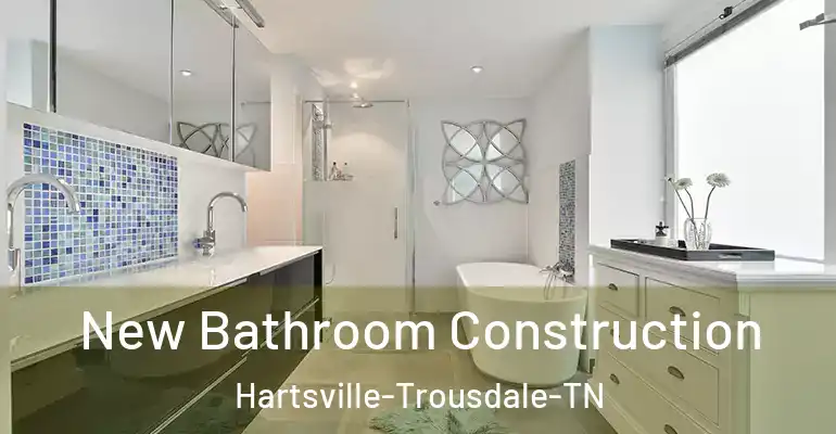 inner Bathroom imggen New Bathroom Construction Hartsville-Trousdale-TN