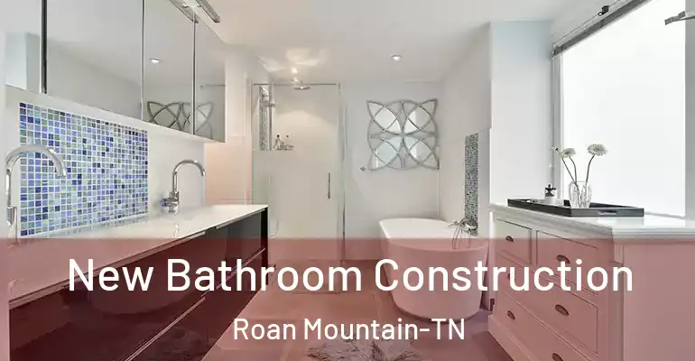 inner Bathroom imggen New Bathroom Construction Roan Mountain-TN