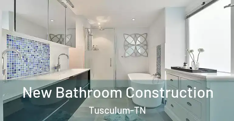 inner Bathroom imggen New Bathroom Construction Tusculum-TN