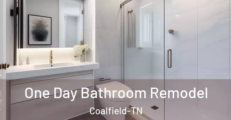 inner Bathroom imggen One Day Bathroom Remodel Coalfield-TN