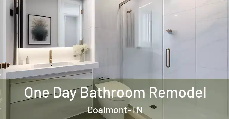 inner Bathroom imggen One Day Bathroom Remodel Coalmont-TN