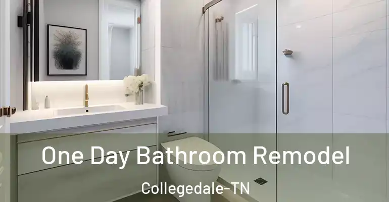 inner Bathroom imggen One Day Bathroom Remodel Collegedale-TN